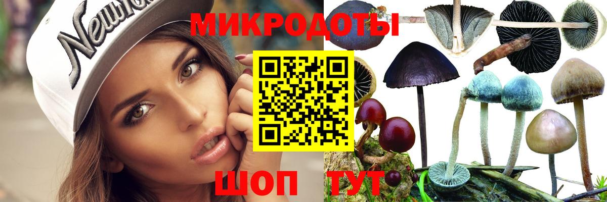 Галлюциногенные грибы прущие грибы  Галлюциногенные грибы Psilocybe  Красноармейск  Вход с VPN 